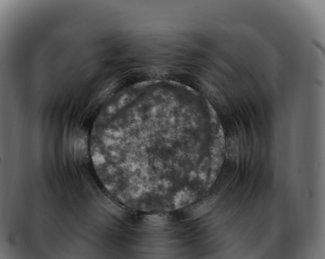 X0000092220238200710121203