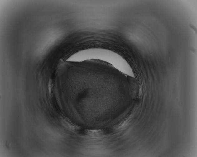 X0000092220239200710121203