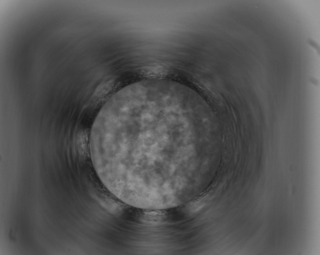 X0000092220240200710121203