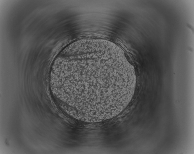 X0000092220241200710121203