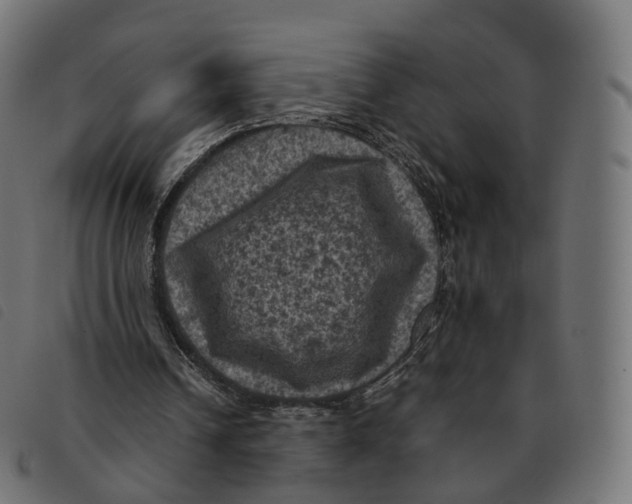 X0000092220242200710121203