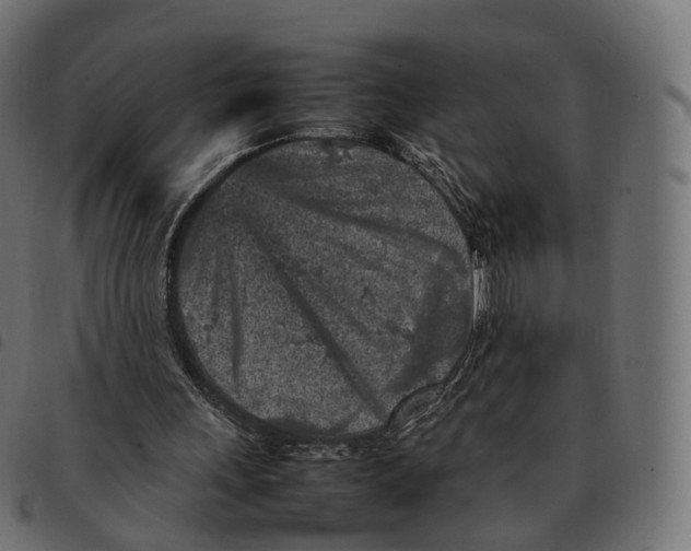 X0000092220243200710121203