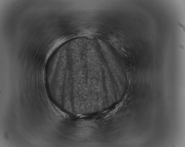 X0000092220244200710121203