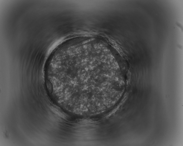 X0000092220246200710121203