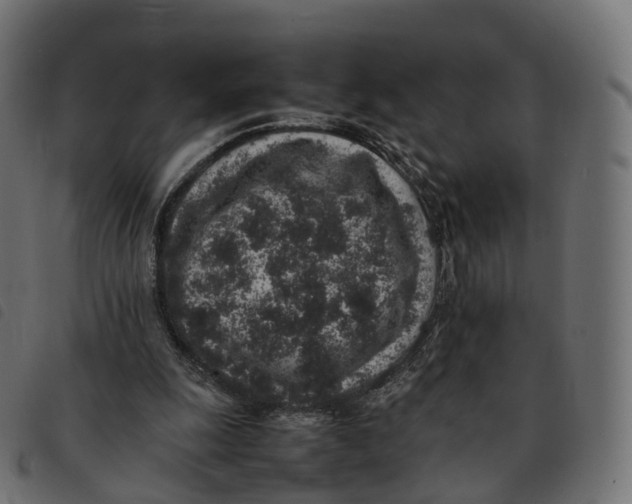 X0000092220247200710121203