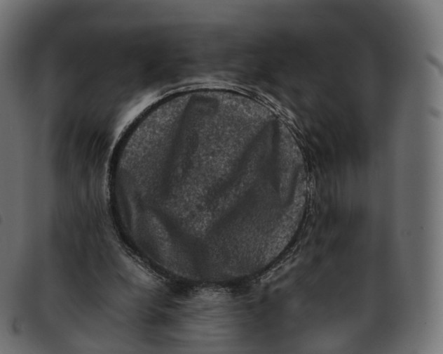 X0000092220248200710121203