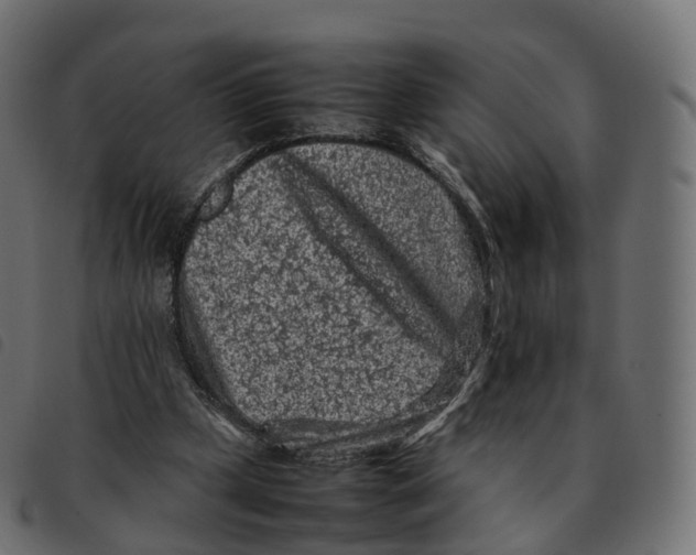 X0000092220249200710121203