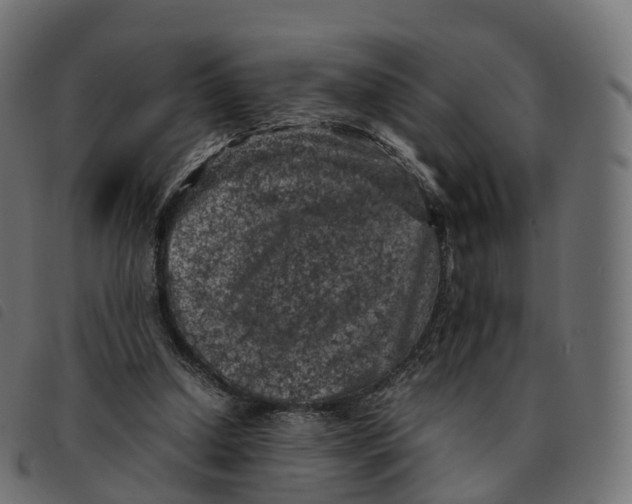 X0000092220250200710121203