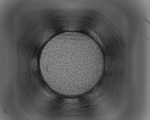 X0000092220251200710121203