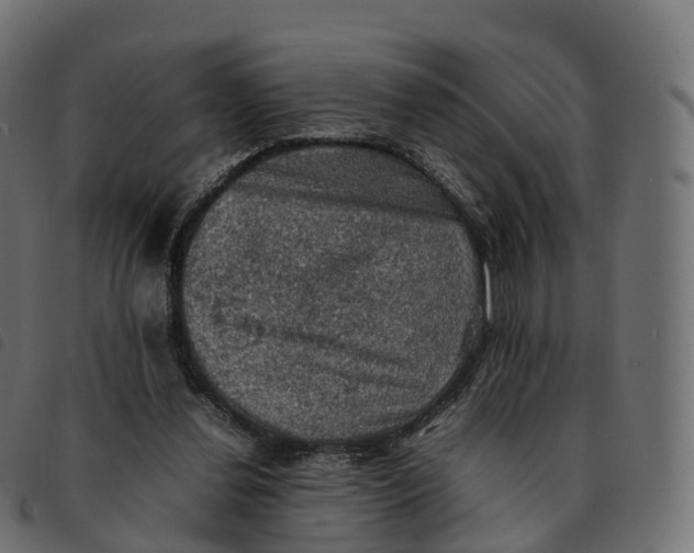 X0000092220252200710121203