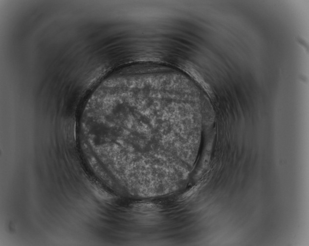 X0000092220253200710121203