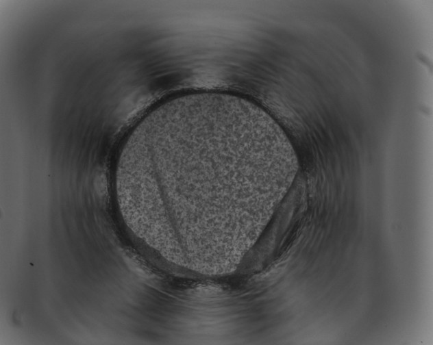 X0000092220256200710121203