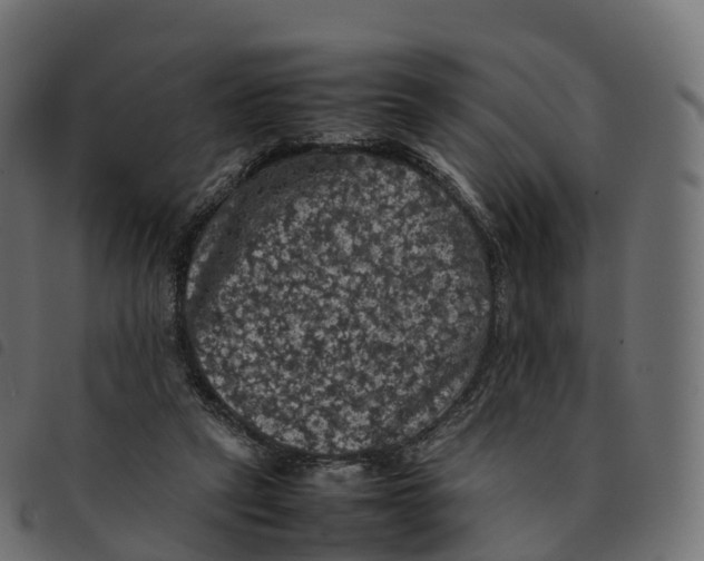 X0000092220257200710121203