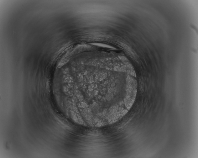 X0000092220258200710121203