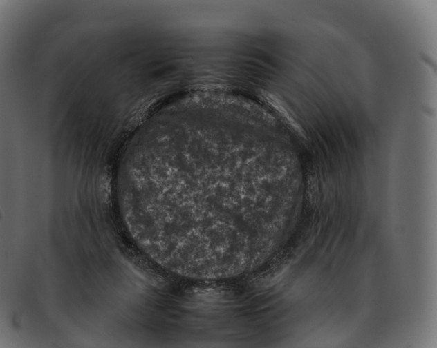 X0000092220259200710121203