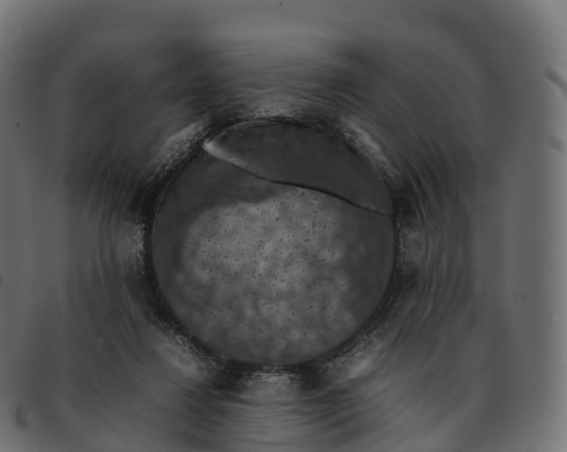 X0000092220260200710121203