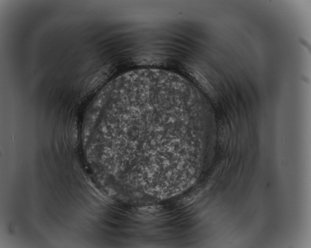 X0000092220261200710121203