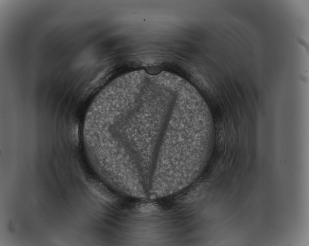 X0000092220262200710121203