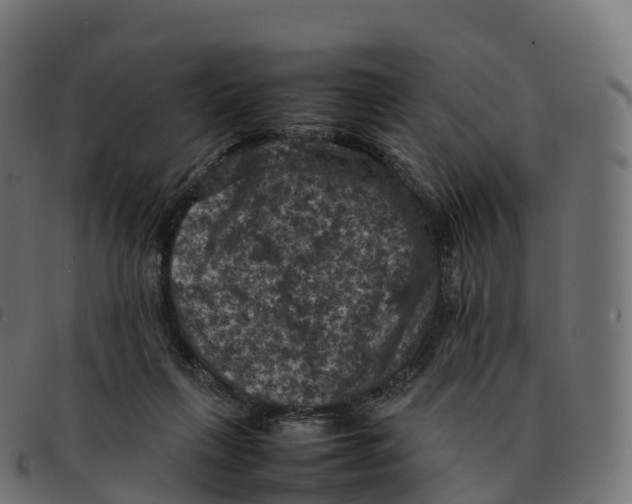 X0000092220263200710121203