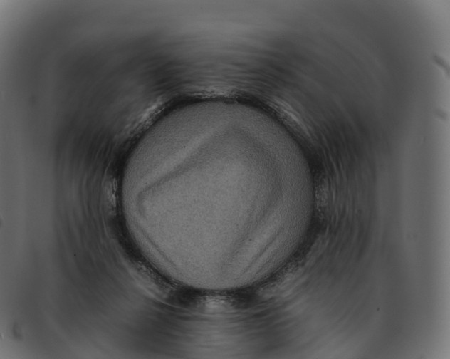 X0000092220264200710121203