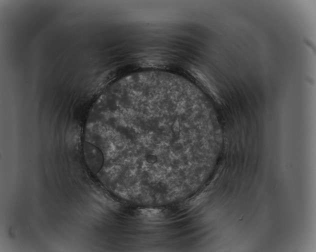 X0000092220265200710121203