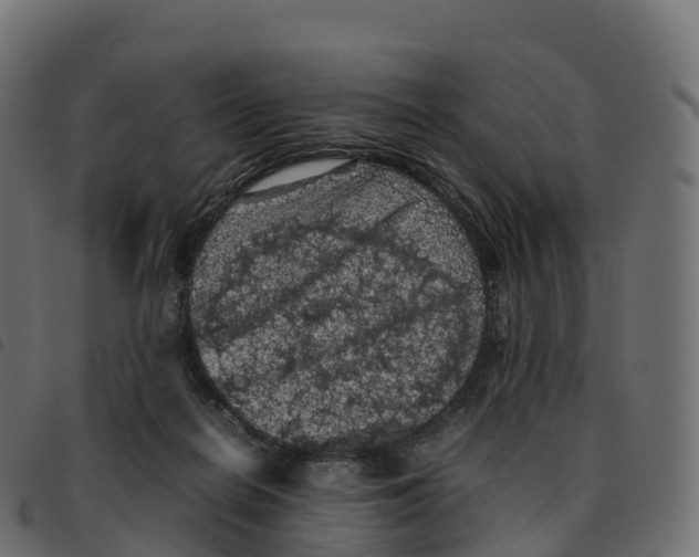 X0000092220266200710121203