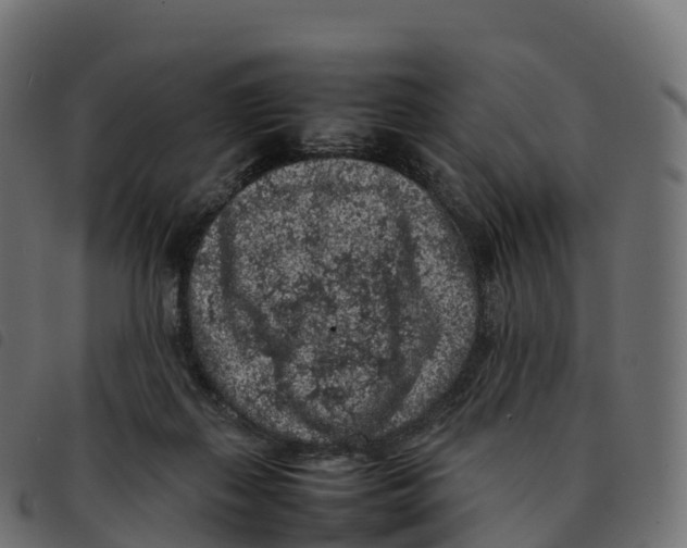 X0000092220267200710121203