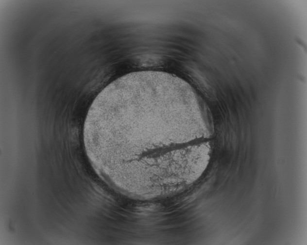 X0000092220269200710121203