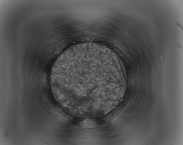 X0000092220270200710121203