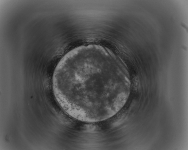 X0000092220272200710121203