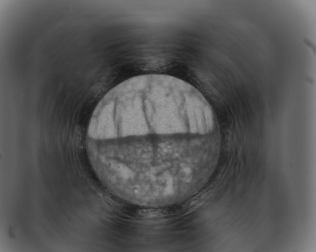 X0000092220273200710121203