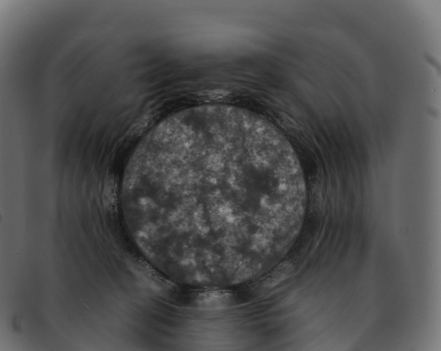 X0000092220274200710121203