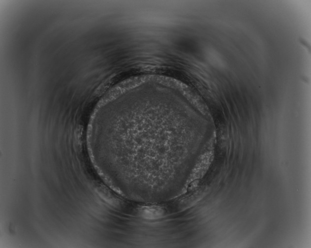 X0000092220275200710121203