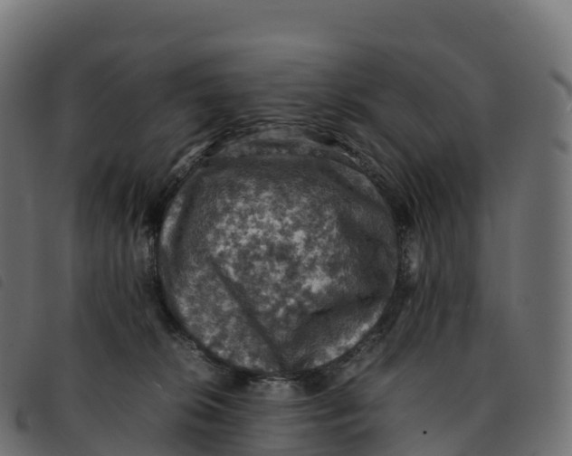 X0000092220276200710121203