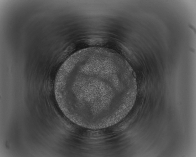 X0000092220277200710121203