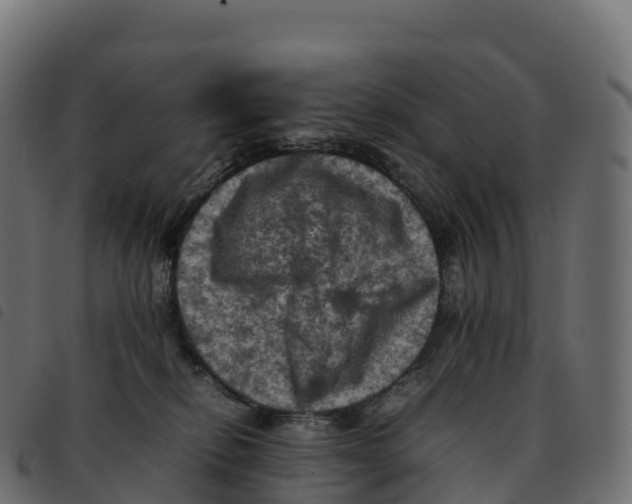 X0000092220278200710121203