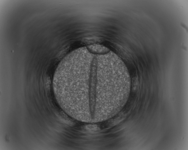 X0000092220279200710121203