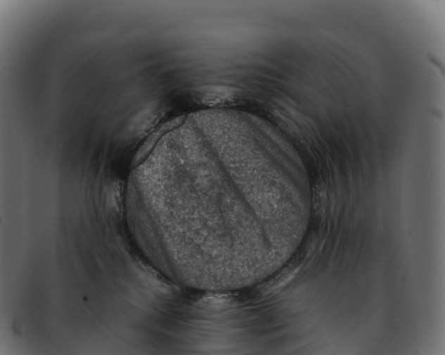 X0000092220280200710121203