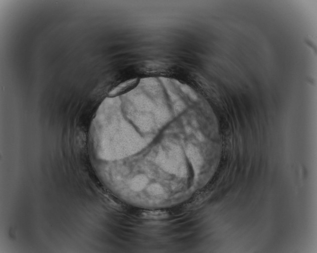 X0000092220281200710121203