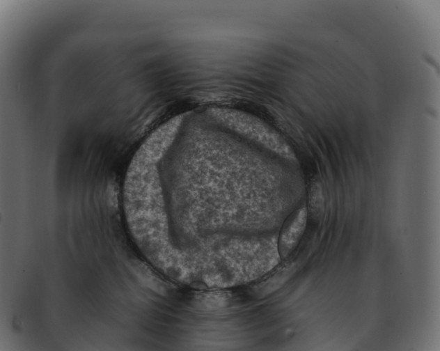 X0000092220282200710121203