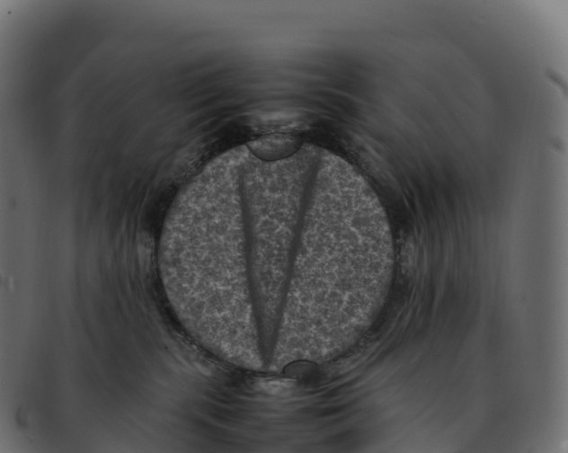 X0000092220283200710121203