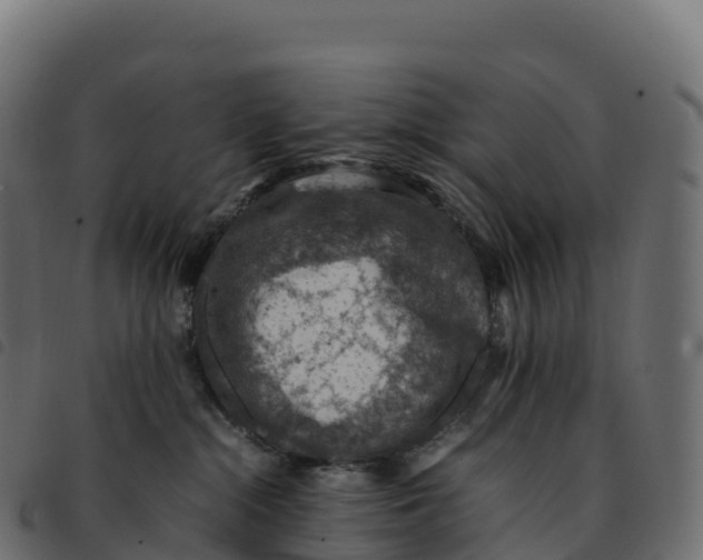 X0000092220284200710121203