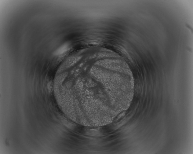 X0000092220285200710121203