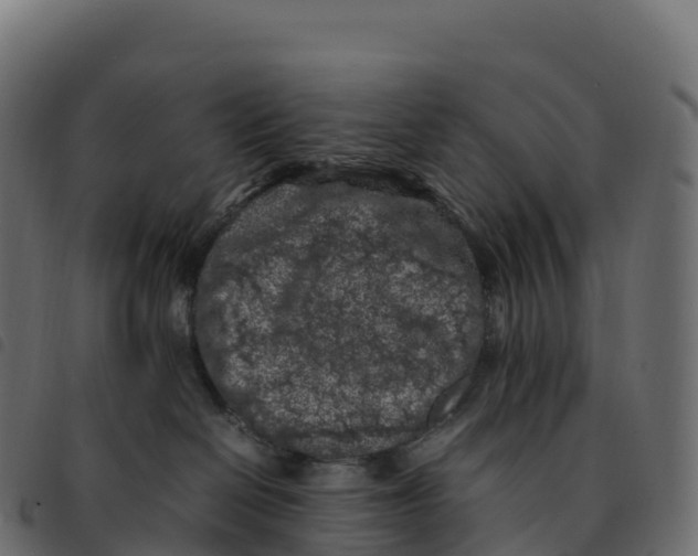 X0000092220286200710121203