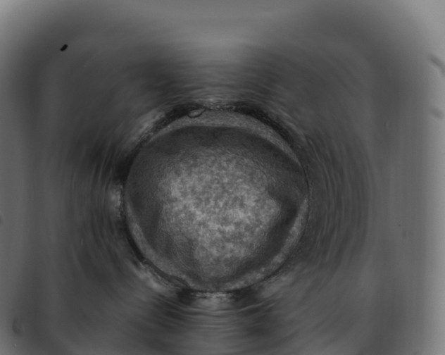 X0000092220288200710121203