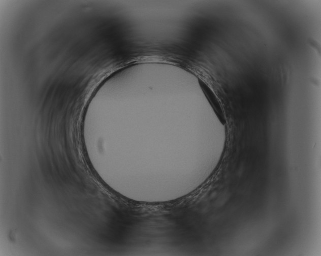 X0000092220289200710121203