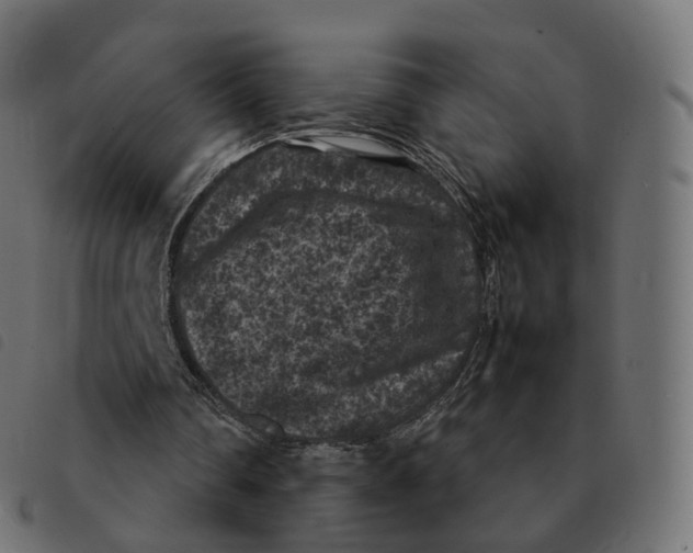 X0000092220290200710121202