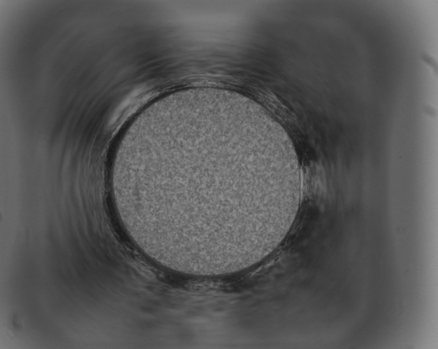 X0000092220291200710121202