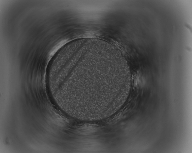 X0000092220292200710121202