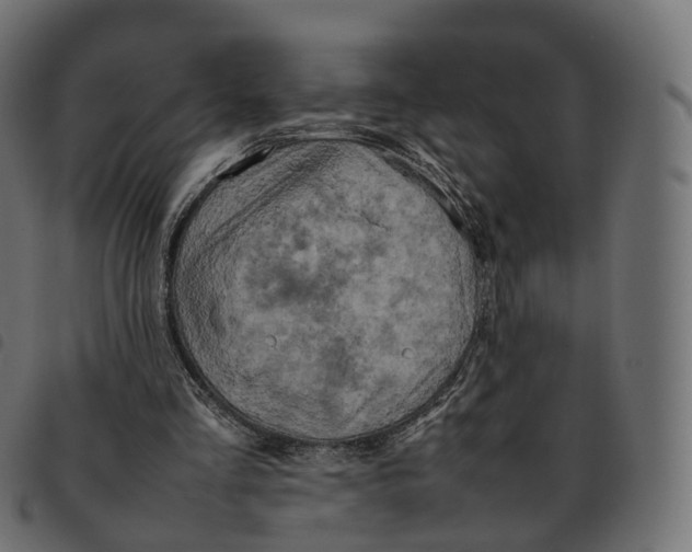 X0000092220293200710121202